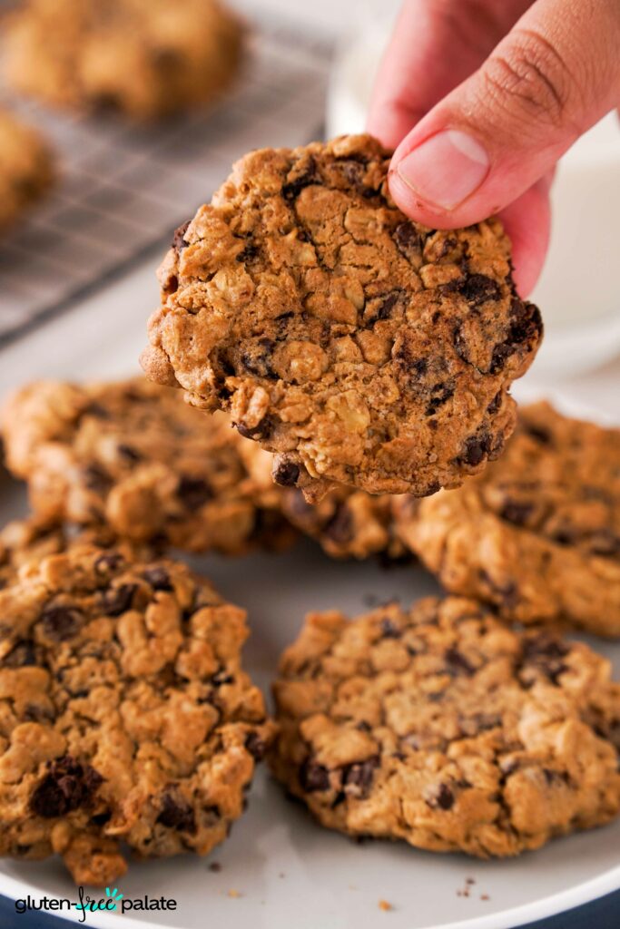 Gluten-Free Oatmeal Chocolate Chip Cookies: Spiced, Chewy & Customizable
