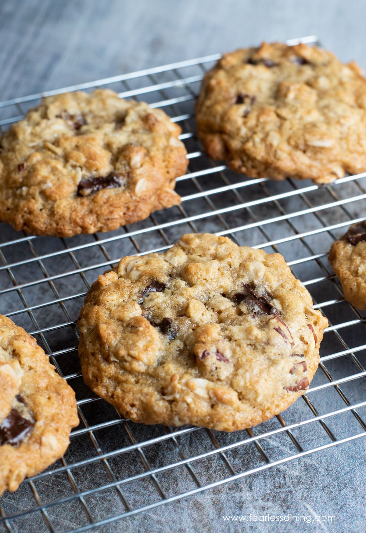 The Ultimate Chewy Gluten-Free Oatmeal Chocolate Chip Cookies